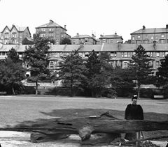 Alexandra-park-and-the-submarine-log-brought-up-whilst-piling-for-Hastings-pier-in-the-submerged-forest.-c1895.